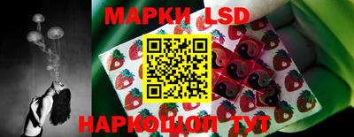spice Кунгур
