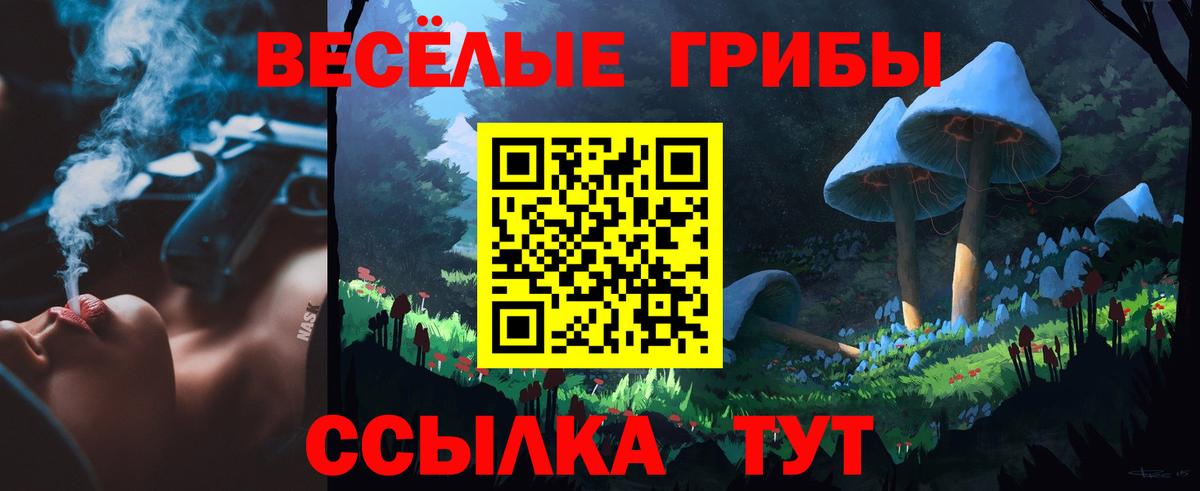 Электросталь  где купить наркоту  Псилоцибиновые грибы Psilocybine cubensis  Вход с VPN  Псилоцибиновые грибы Psilocybine cubensis 