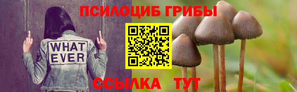Галлюциногенные грибы мицелий Электросталь